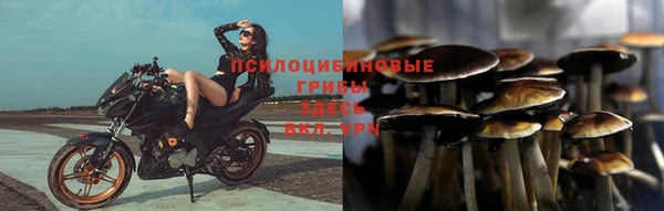 кокс Богородск