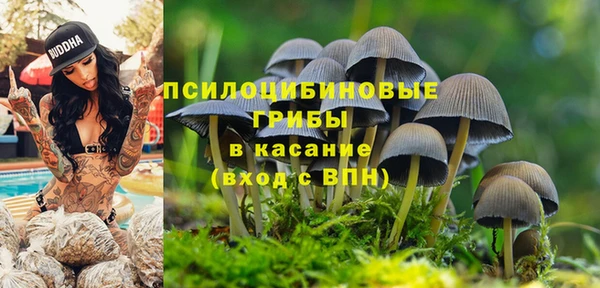 мескалин Богородицк
